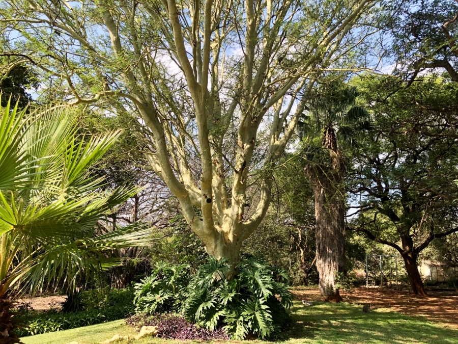 7 Bedroom Property for Sale in Zandfontein A H North West